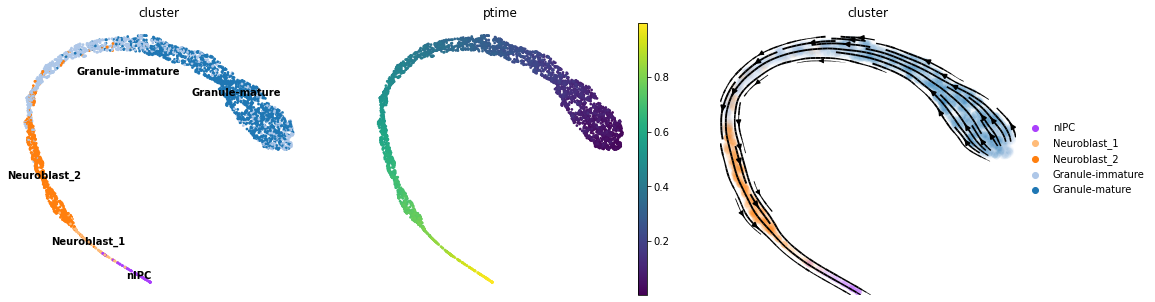 ../_images/notebook_scTour_inference_PostInference_adjustment_24_0.png