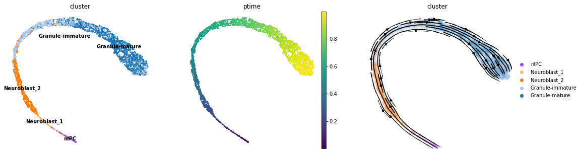 ../_images/notebook_scTour_inference_PostInference_adjustment_27_0.png