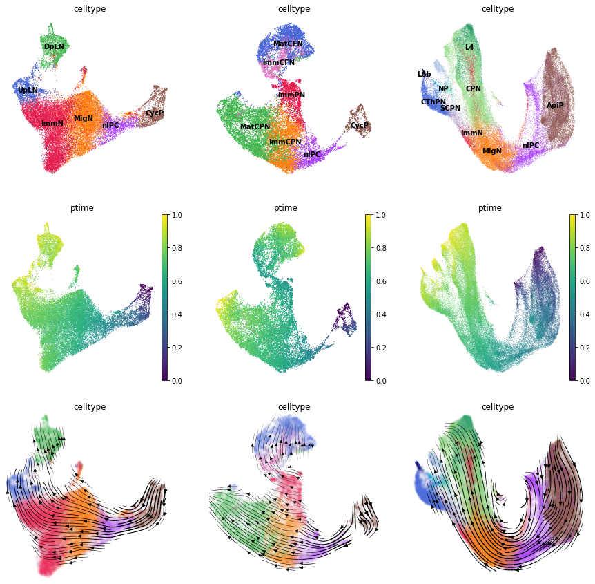 ../_images/notebook_scTour_prediction_36_0.png