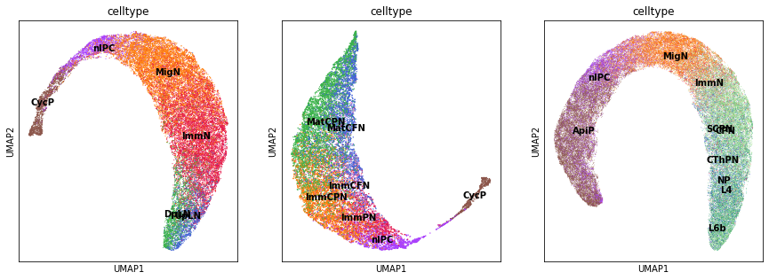 ../_images/notebook_scTour_prediction_38_0.png